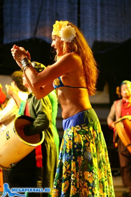 samba_festival_coburg_130707_138.jpg