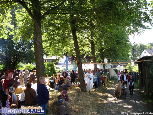 mittelalterfest_marktschorgast_210609_050.JPG